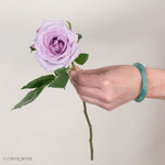 Lavender Purple Haze Rose