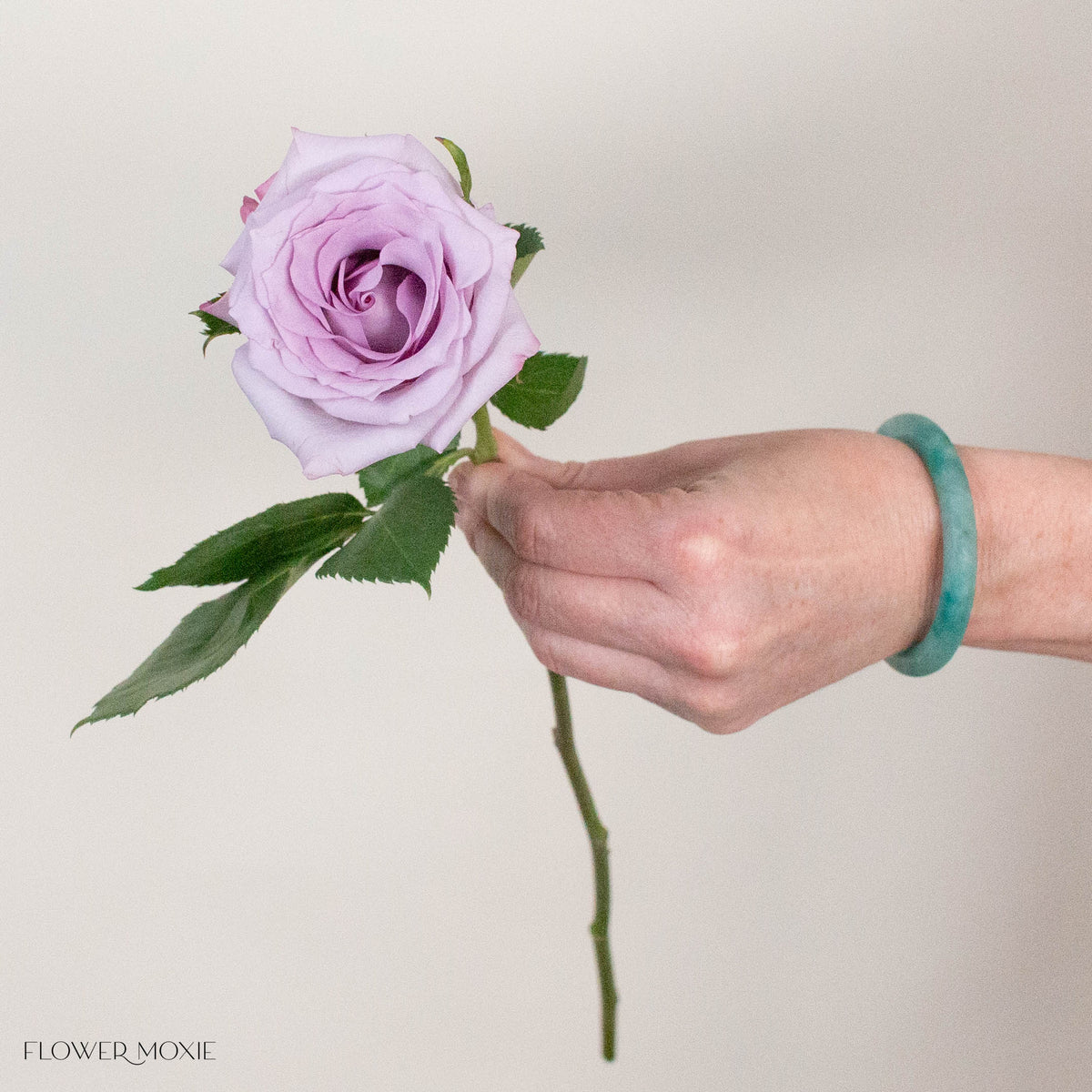 Lavender Purple Haze Rose