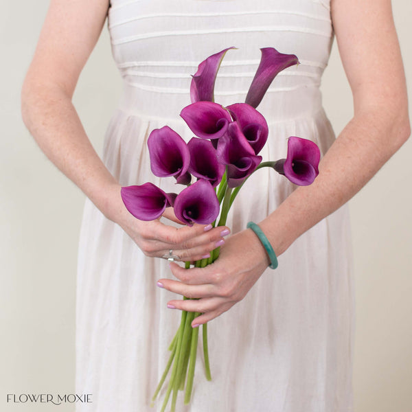 calla lily flower pocket guitar Purple Calla Lily | Fresh DIY Wedding Flowers | Flower Moxie 100 Stems