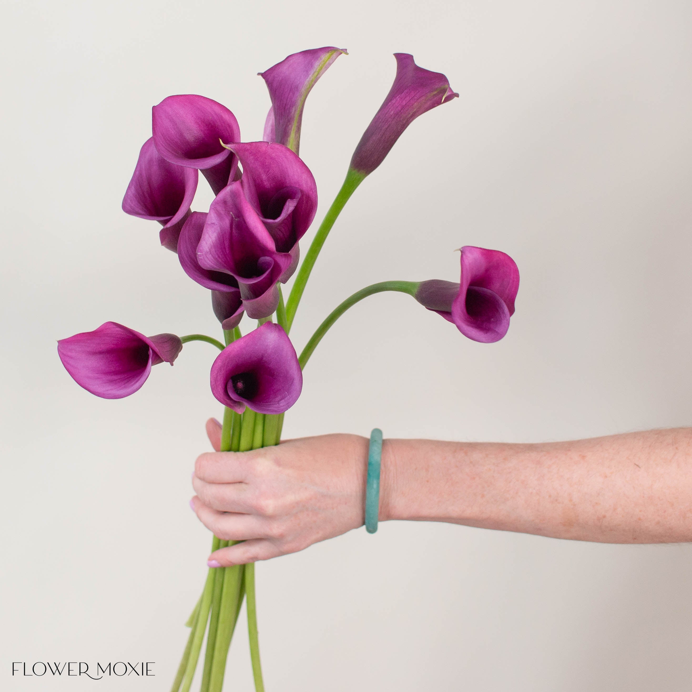 Purple Mini Calla Flower