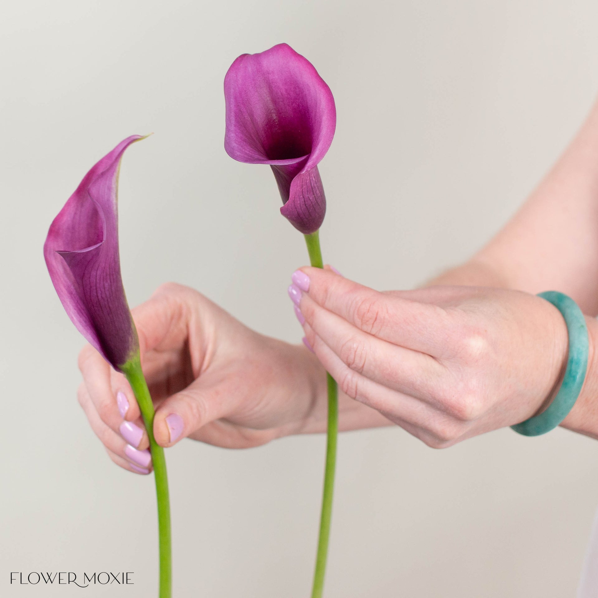 closed lily flower Purple Calla Lily | Fresh DIY Wedding Flowers