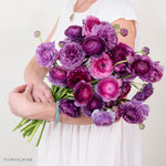 Berry Purple Ranunculus Flower
