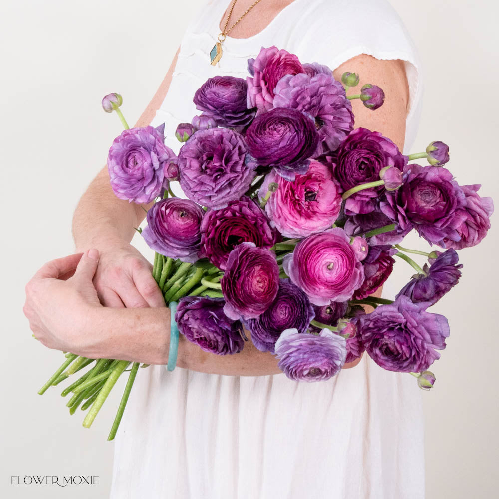 Berry Purple Ranunculus Flower
