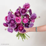Berry Purple Ranunculus Flower
