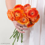 Orange Ranunculus Flower