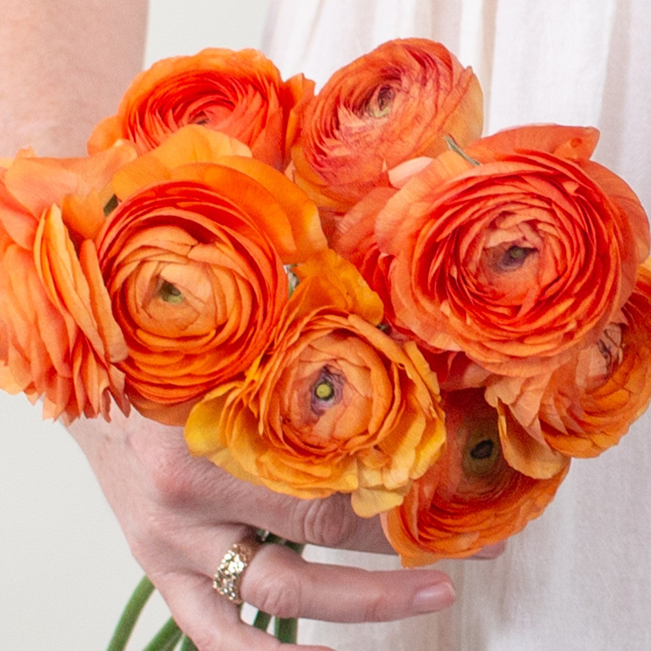 Orange Ranunculus Flower