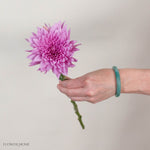 Raspberry Brulee Cremone Flower