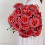 Dusty Terracotta Razzmatazz Rose