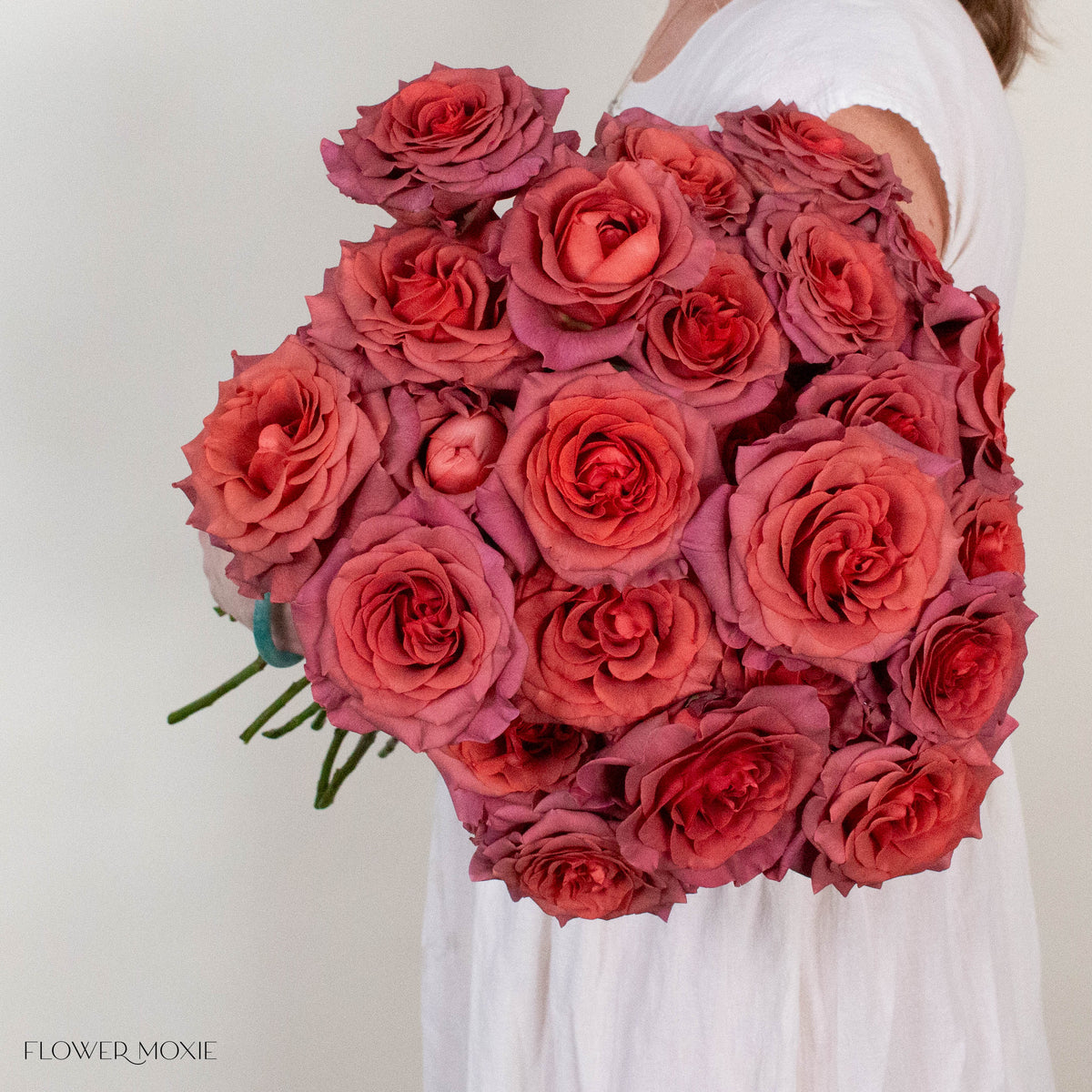 Dusty Terracotta Razzmatazz Rose