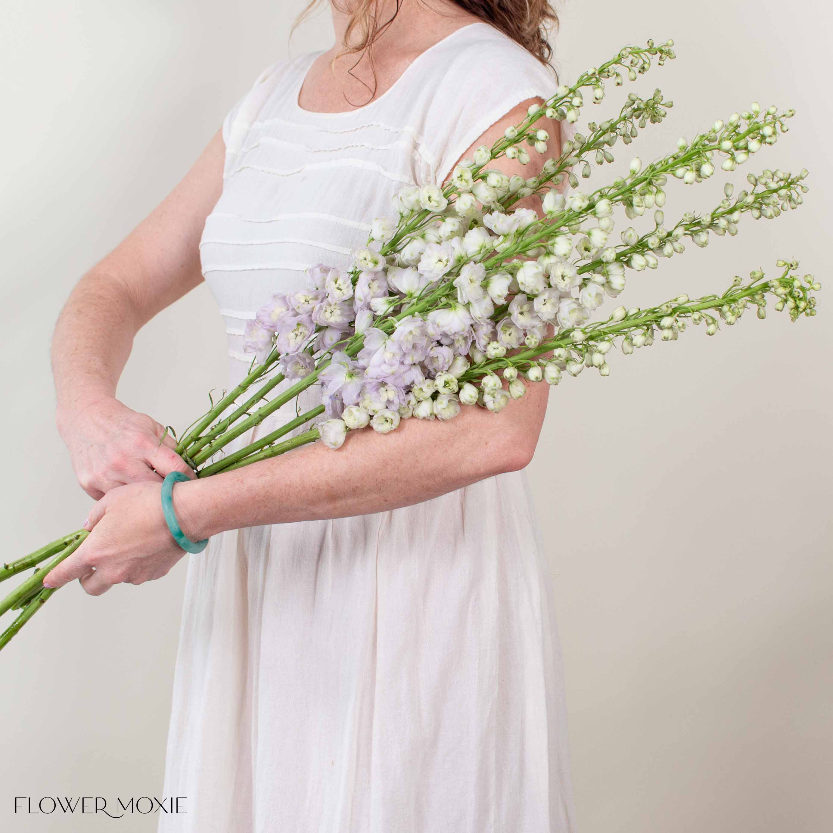 Giant Blush Hybrid Delphinium Flower