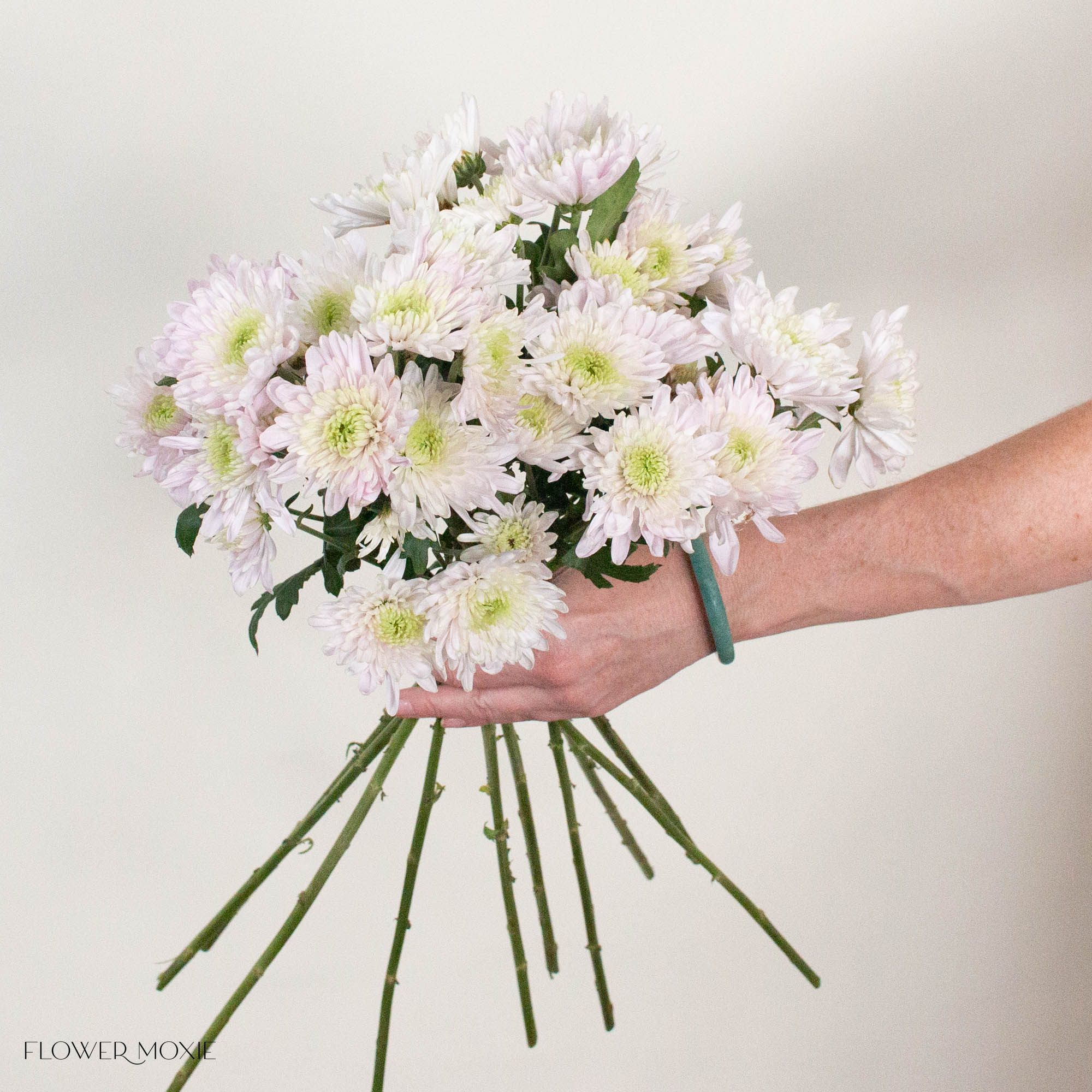 Blush Cushion Pom Flower