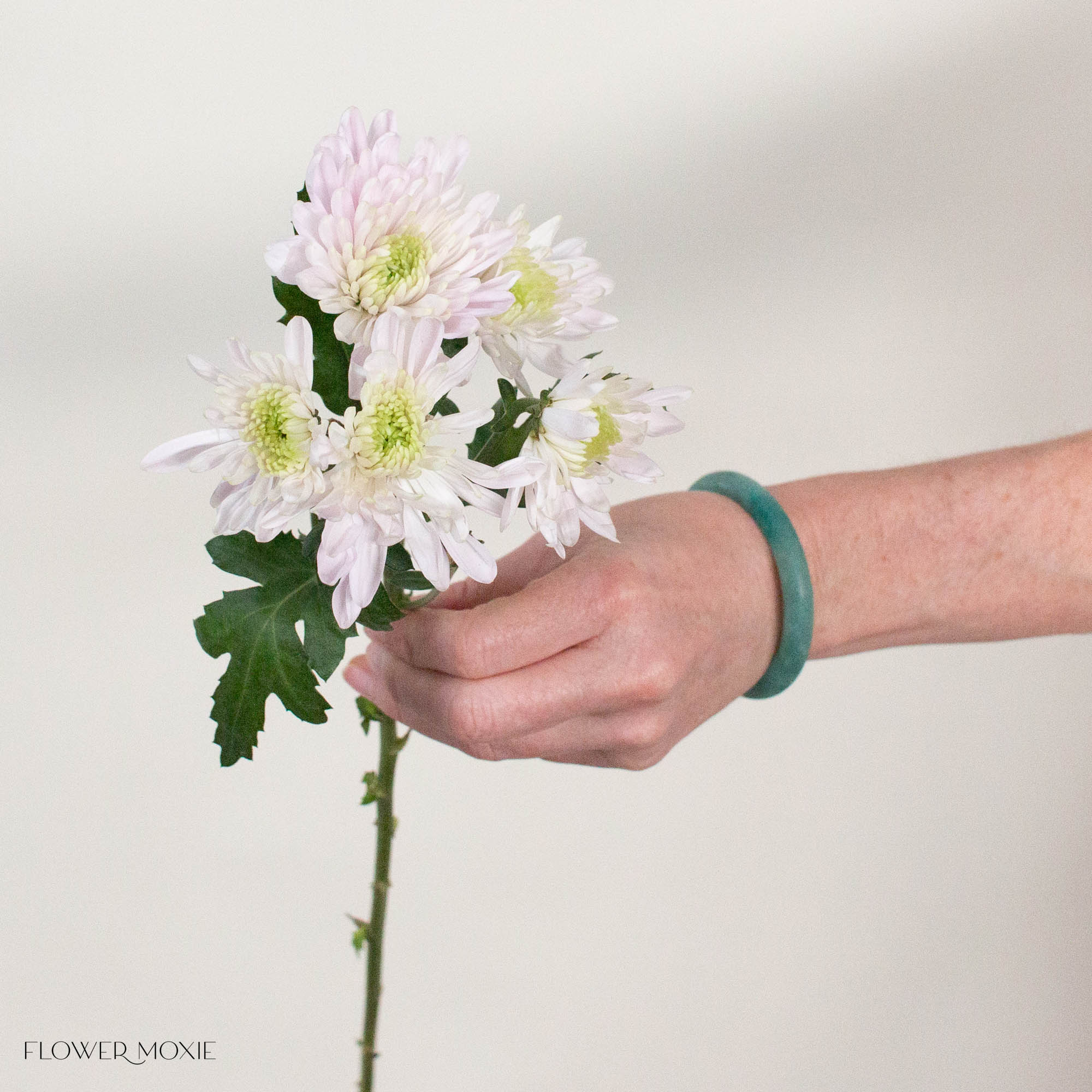 Blush Cushion Pom Flower