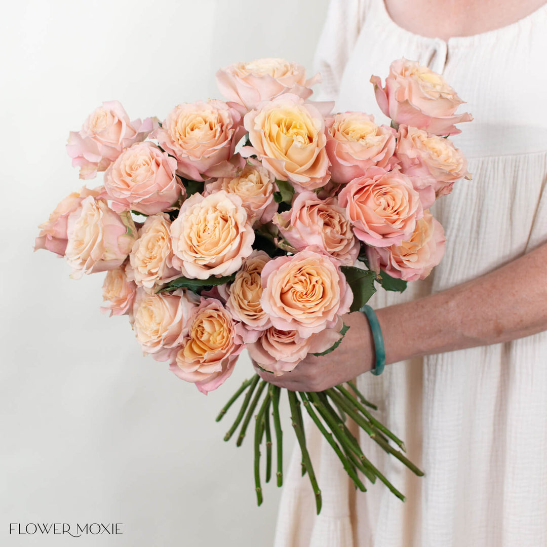 Dusty Peach Sahara Sensation Garden Rose DIY Wedding Flowers