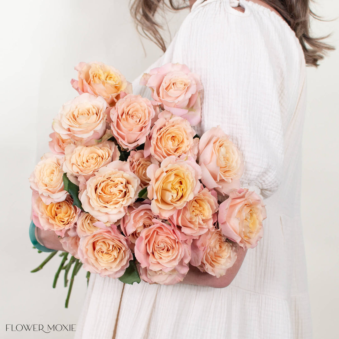 Sandy Beige Sahara Senstation Garden Rose | DIY Wedding Flowers ...