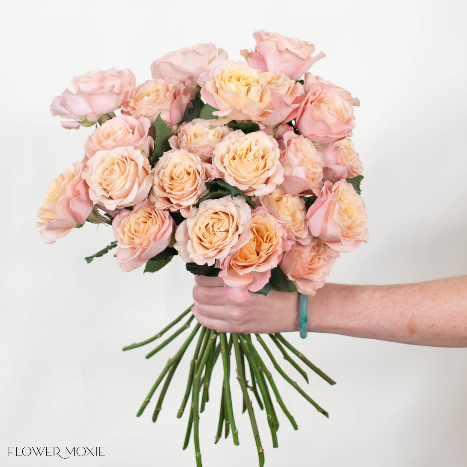Dusty Peach Sahara Sensation Garden Rose | DIY Wedding Flowers