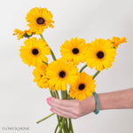 Salir Yellow Mini Gerbera