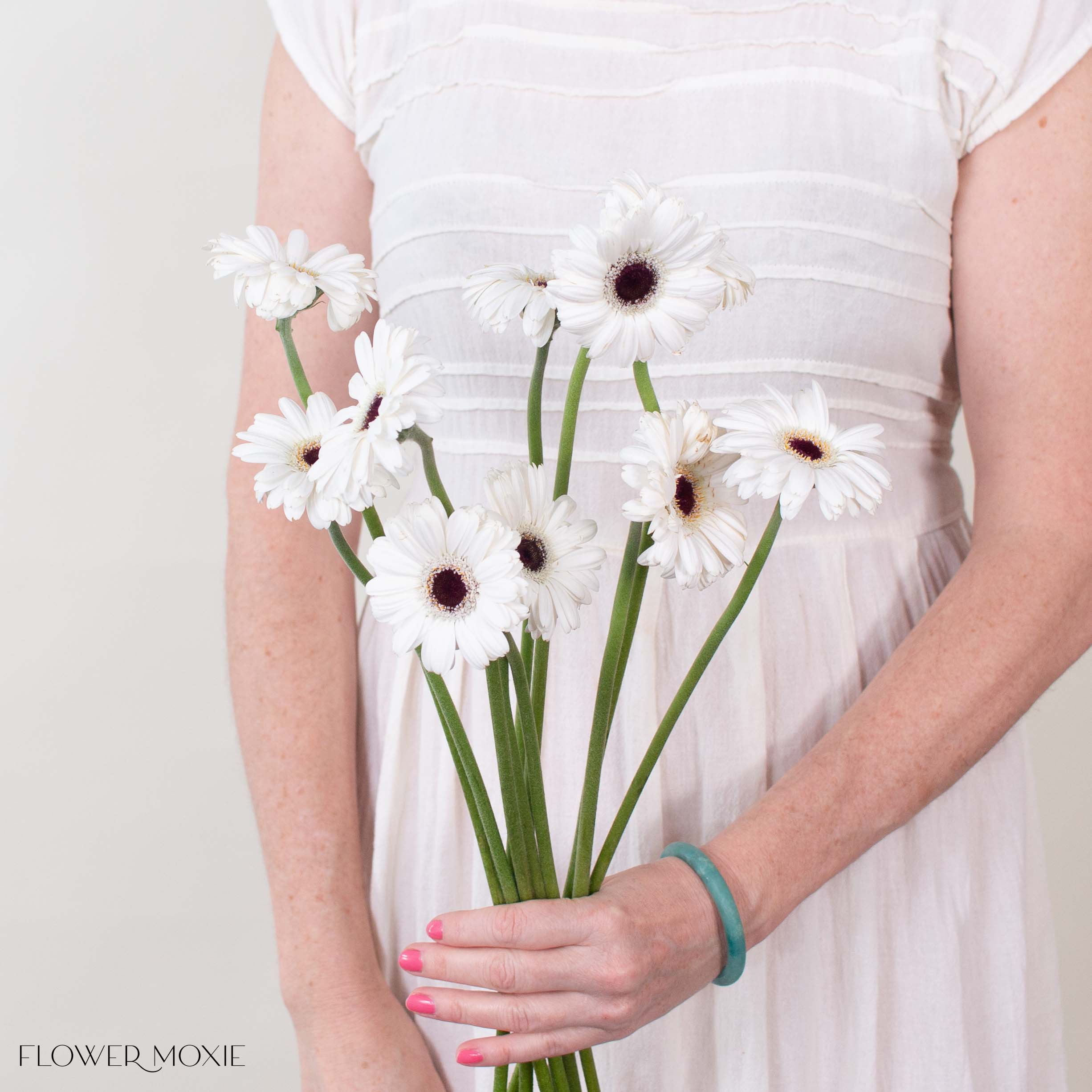 Snoopy White Mini Gerbera
