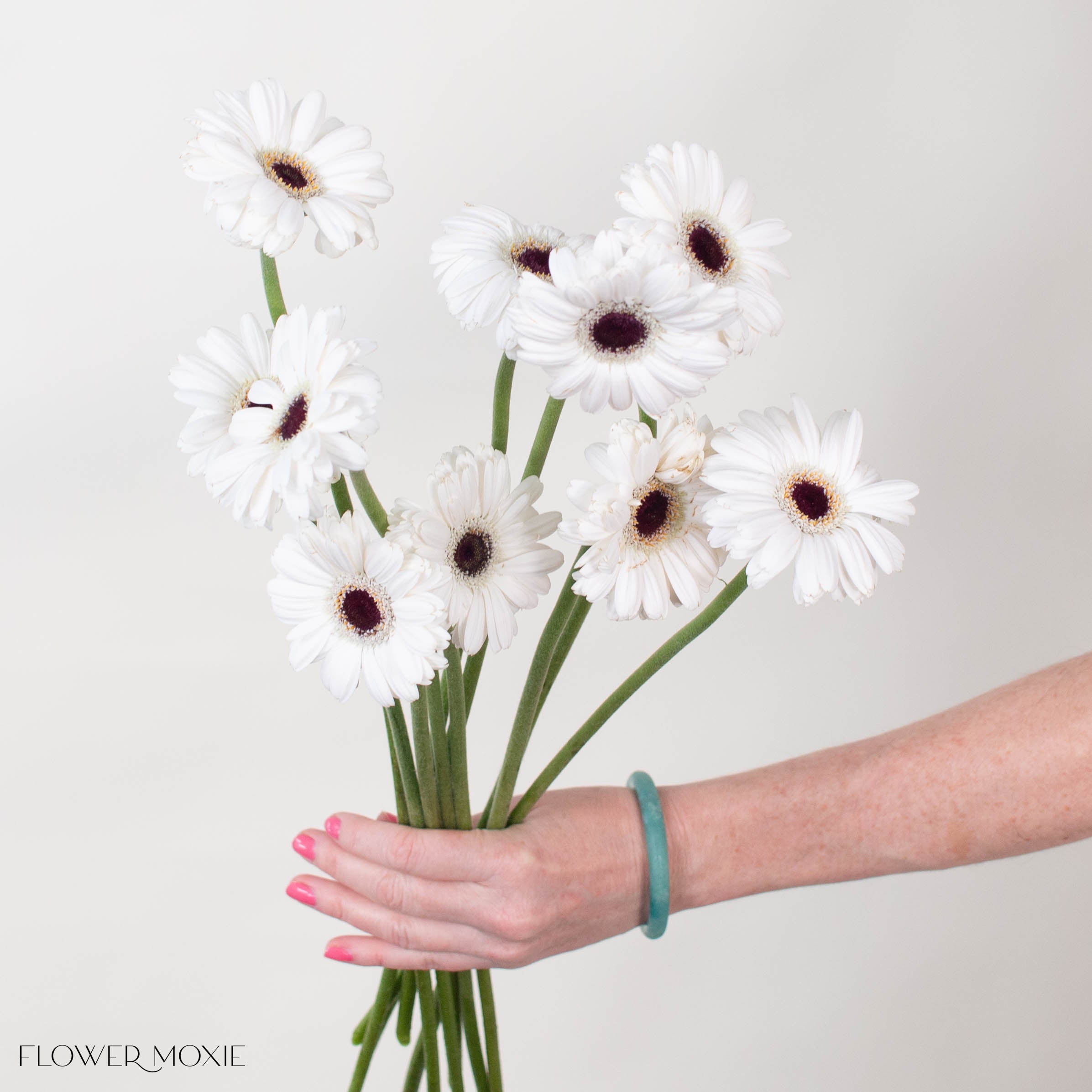 Snoopy White Mini Gerbera
