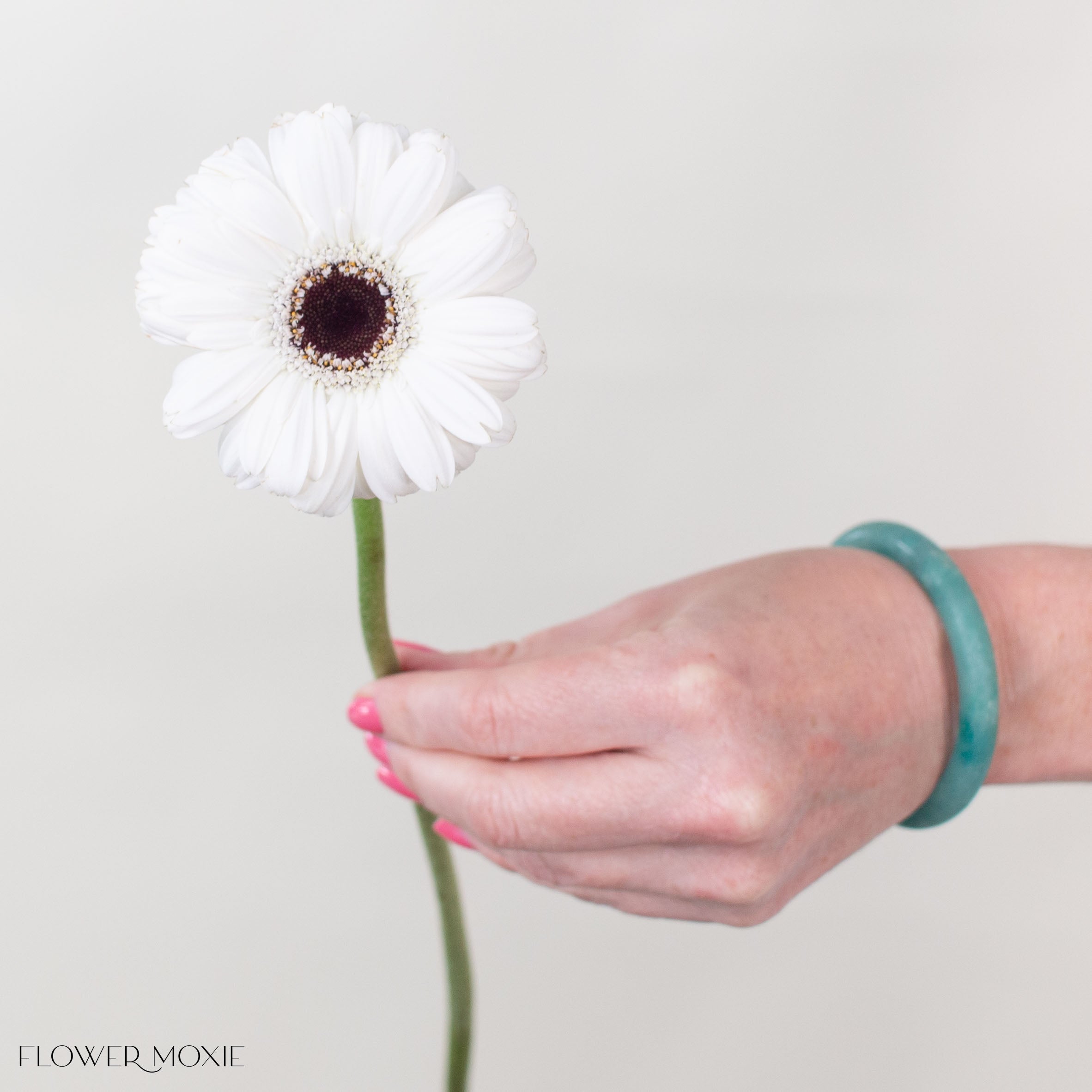Snoopy White Mini Gerbera
