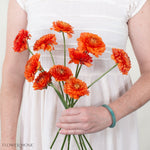 Orange Curly Ranunculus Flower