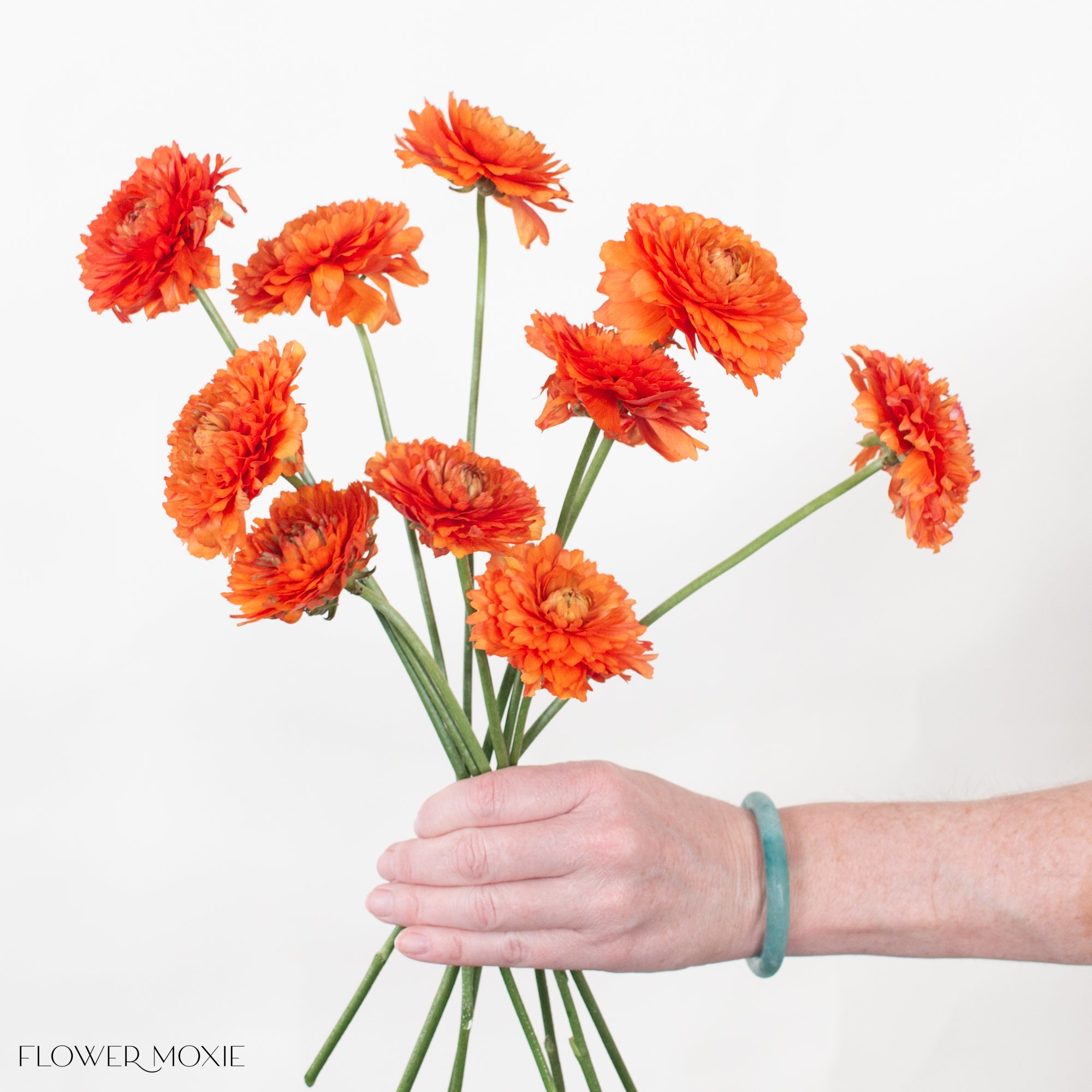 Orange Curly Ranunculus Flower