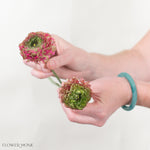 Specialty pon pon hot pink ranunculus