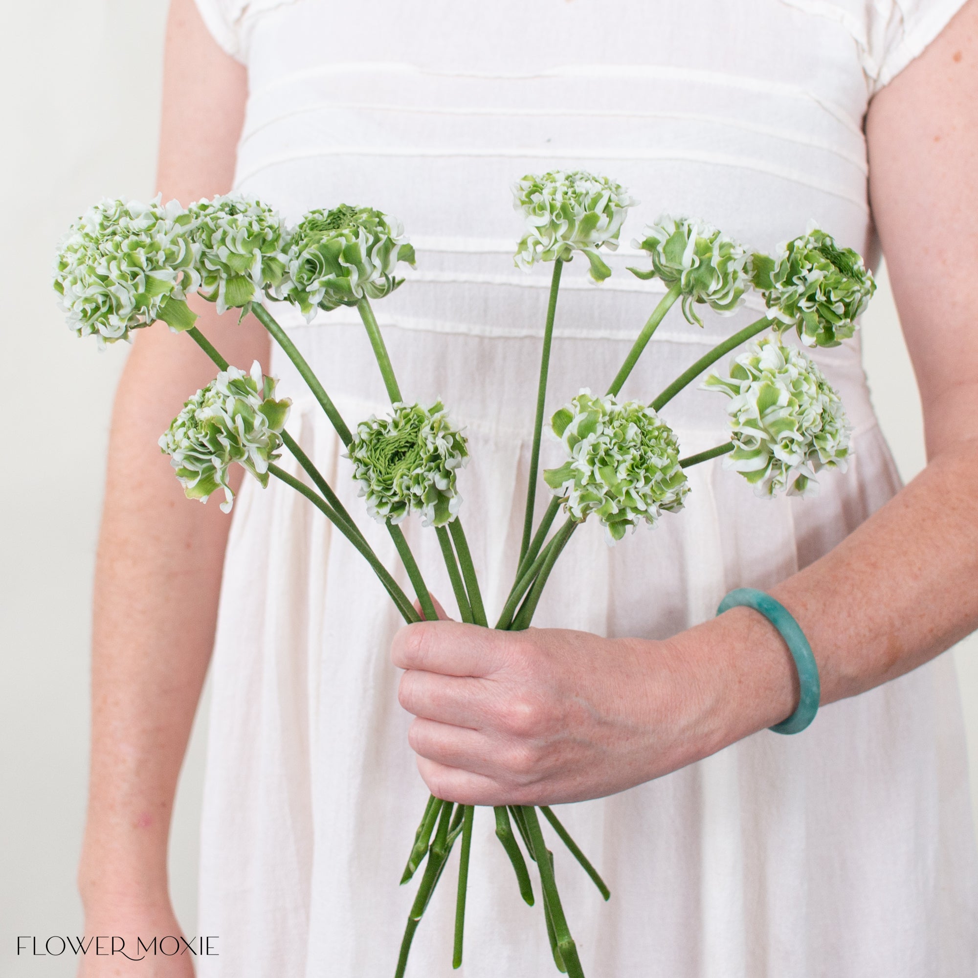 White Curly Ranunculus Flower