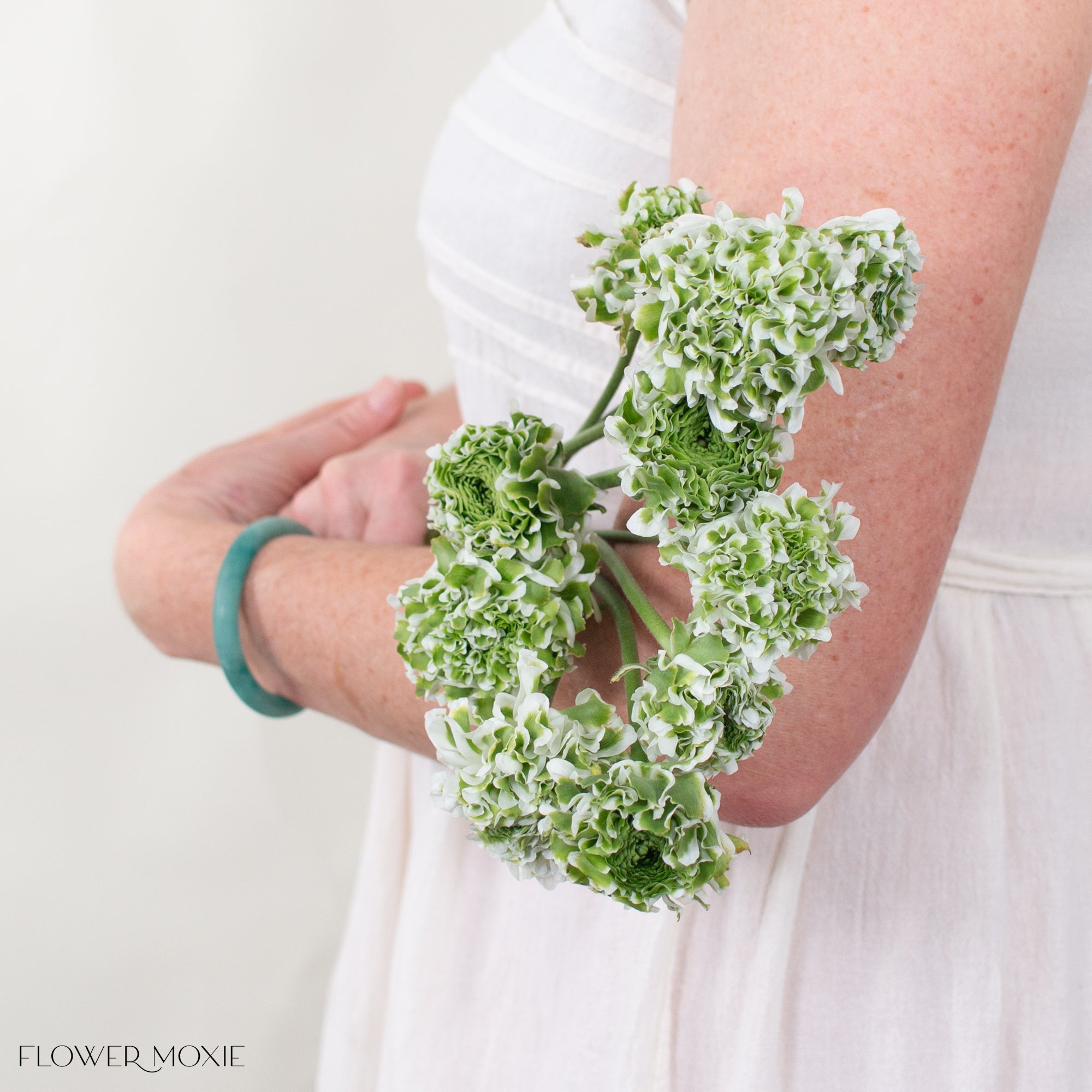 White Curly Ranunculus Flower