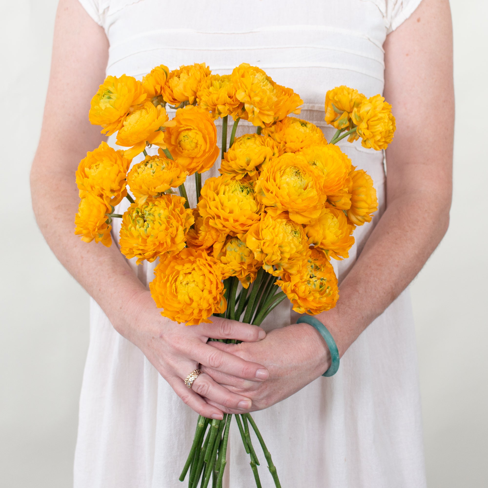 Yellow Curly Ranunculus Flower