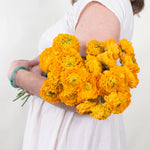 Yellow Curly Ranunculus Flower