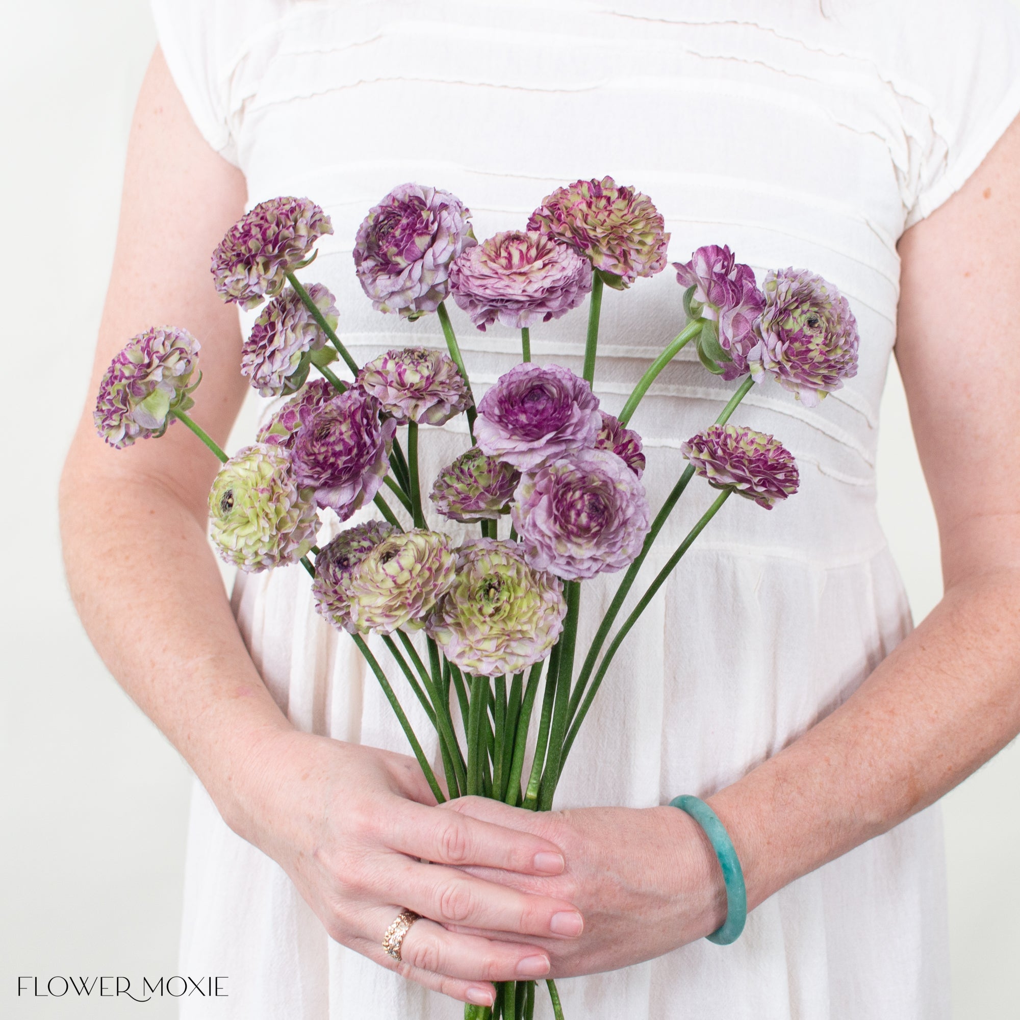 Purple Curly pon pon Ranunculus Flower