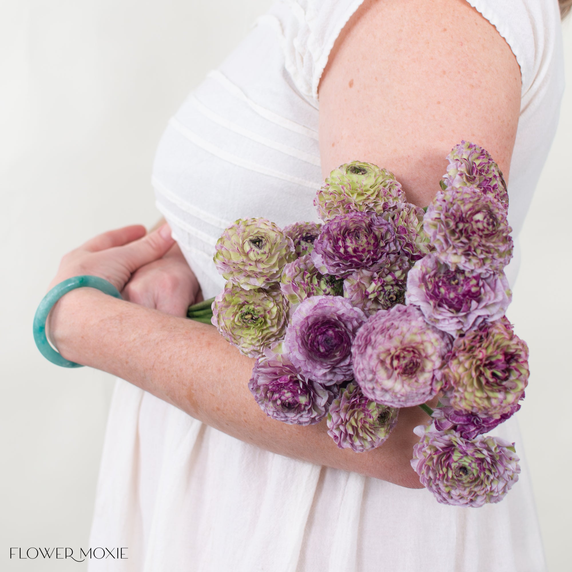 Purple Curly pon pon Ranunculus Flower