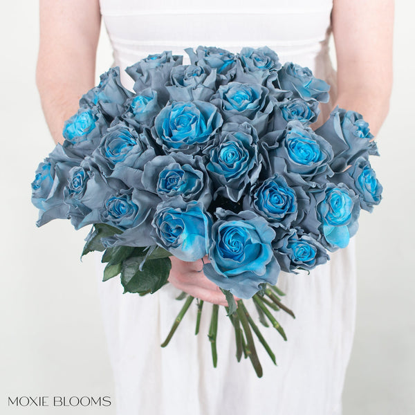 Specialtyroseandorianblue-