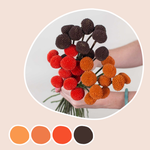 Spice Billy Ball Mixed Box
