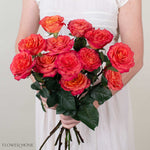 Orange Pink Sunset Garden Rose
