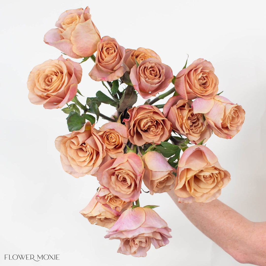 Golden Brown Symbol Rose | DIY Wedding Flowers | Flower Moxie