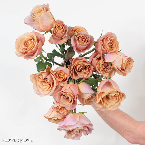 Symbol_Rose-21_grande.jpg?v=