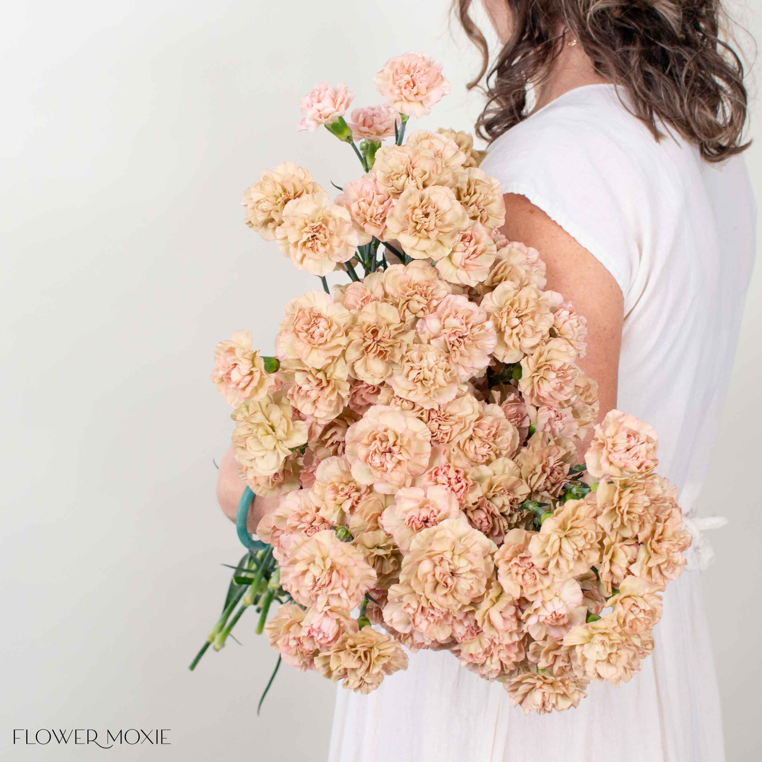 Terracotta Mini Carnation Flower