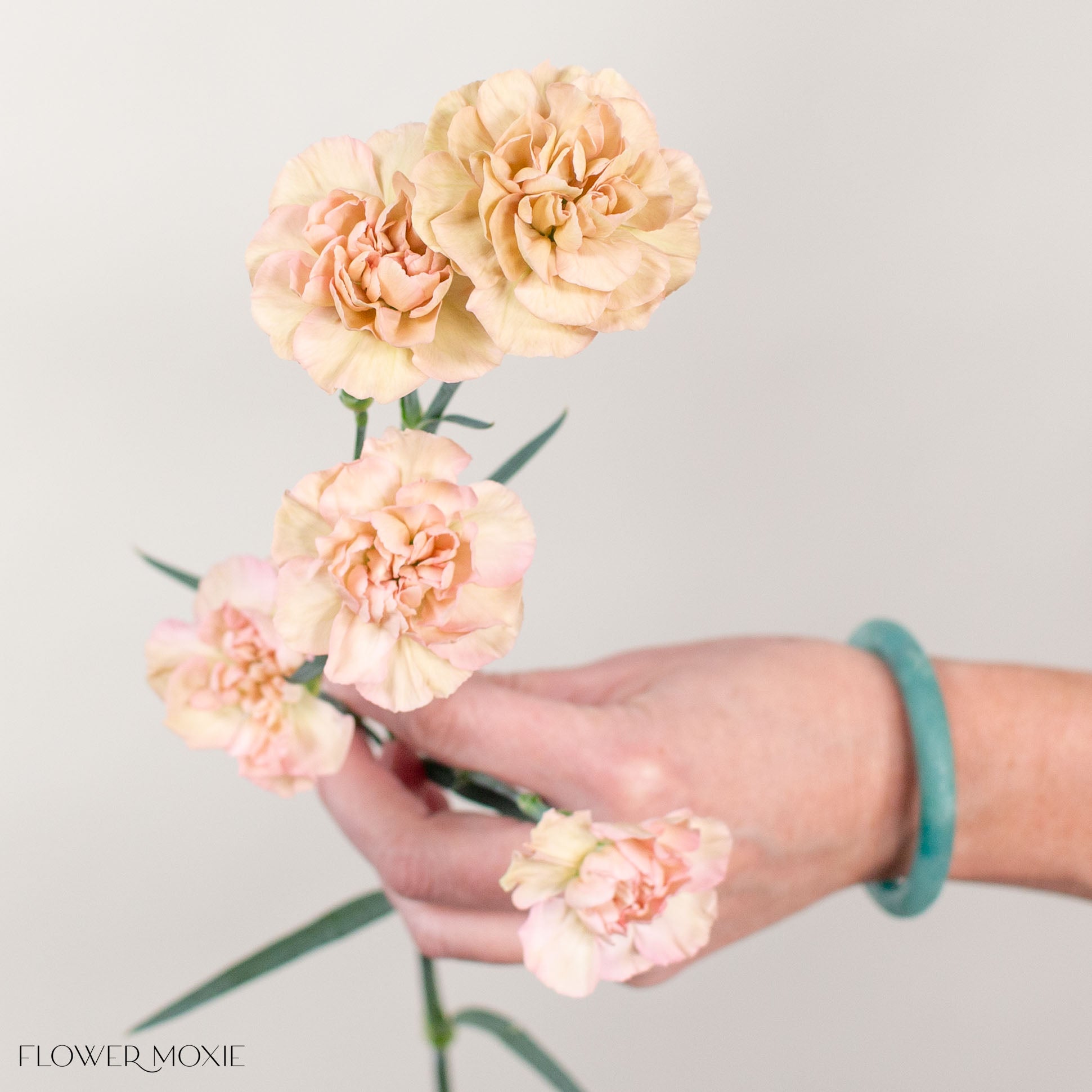 Terracotta Mini Carnation Flower