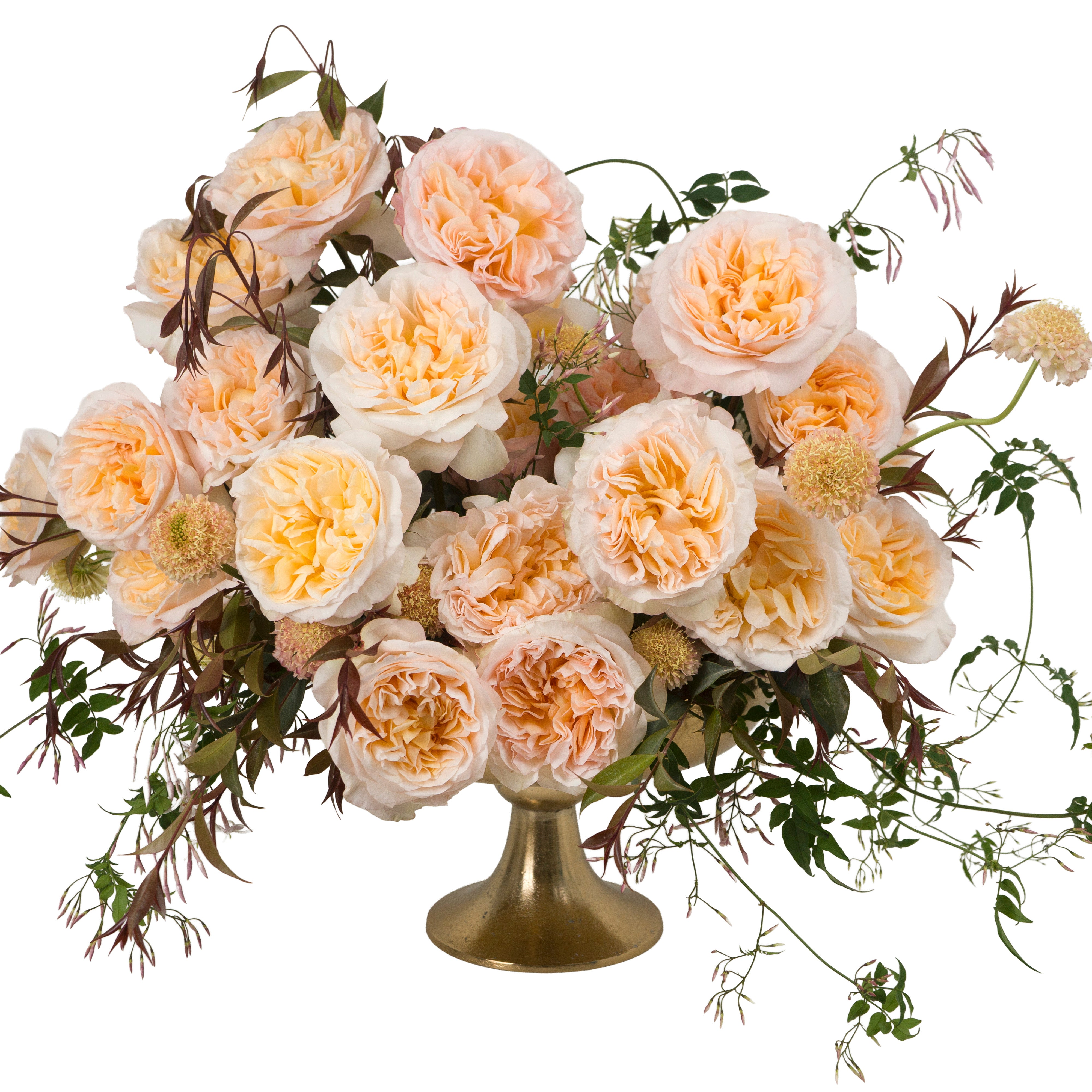 Peach Tie Dye Garden Rose
