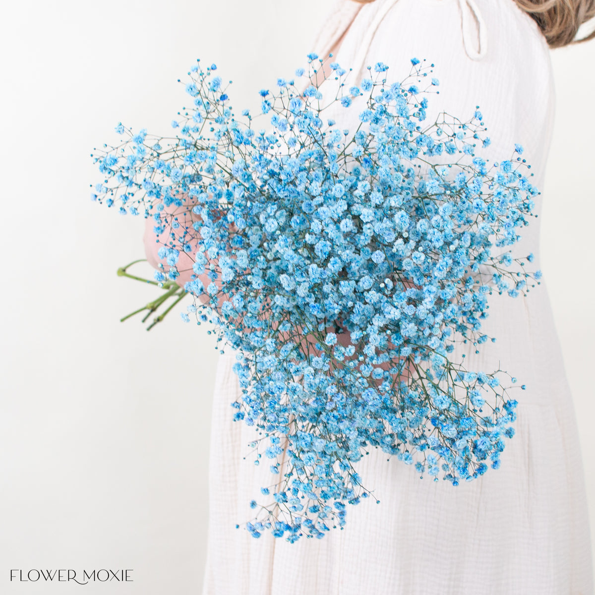 14-15 Beautiful Fluffy Violet Blue Preserved Gypsophila Baby's Breath Flowers Very Soft 3-4 Stems 14-15 Beautiful Fluffy Violet Blue Preserved Gypsophila Baby's Breath Flowers Very Soft 3-4 Stems