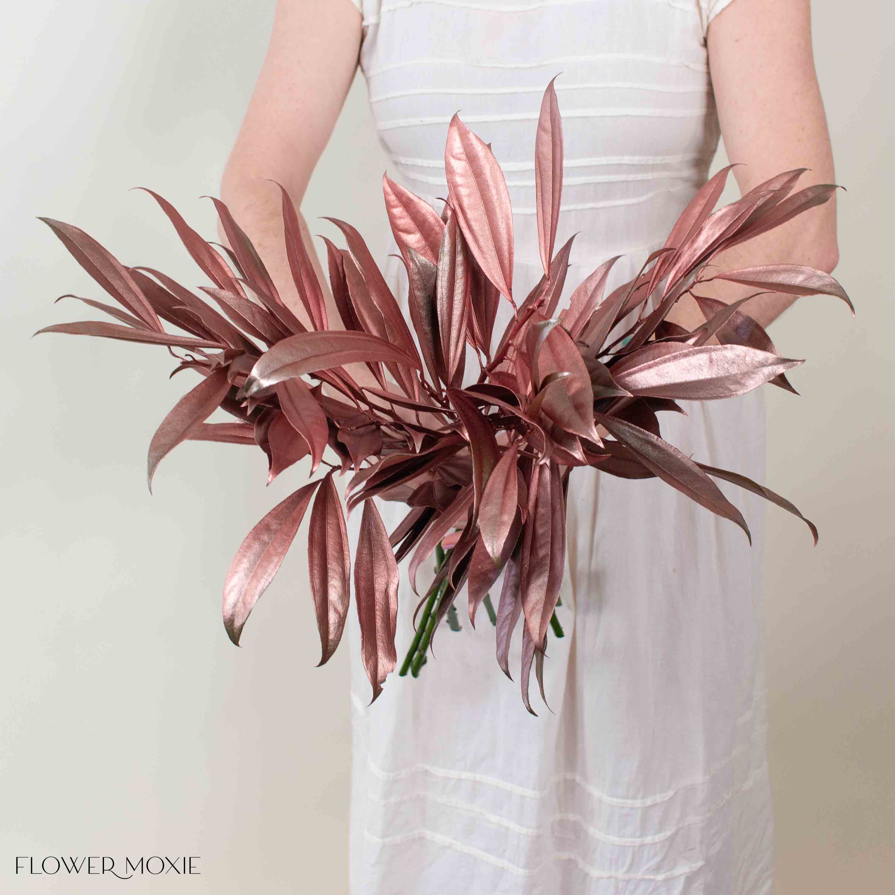 Tinted Bronze Cocculus Greenery | DIY Wedding Flowers | Flower Moxie