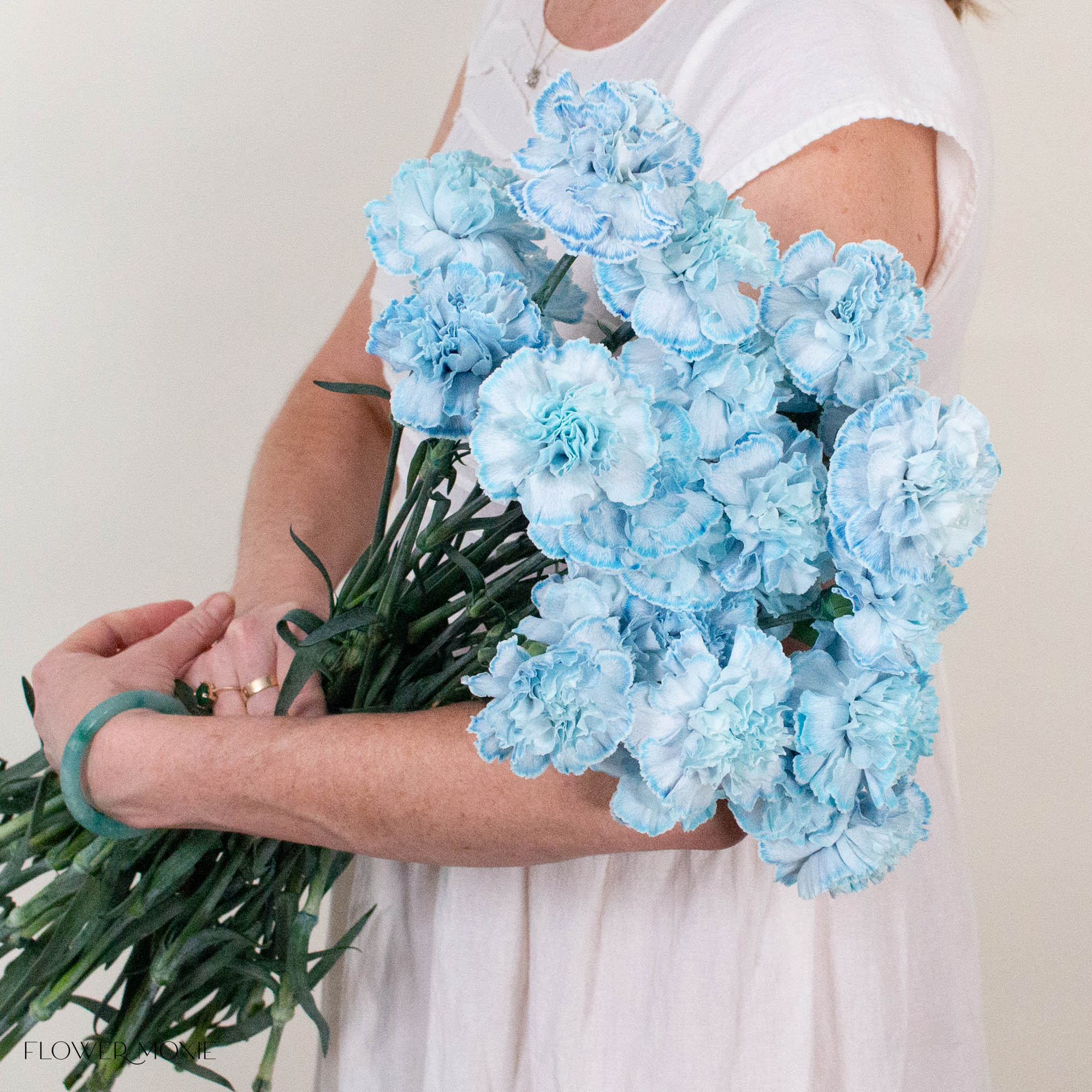 Tinted Blue Carnation Flower
