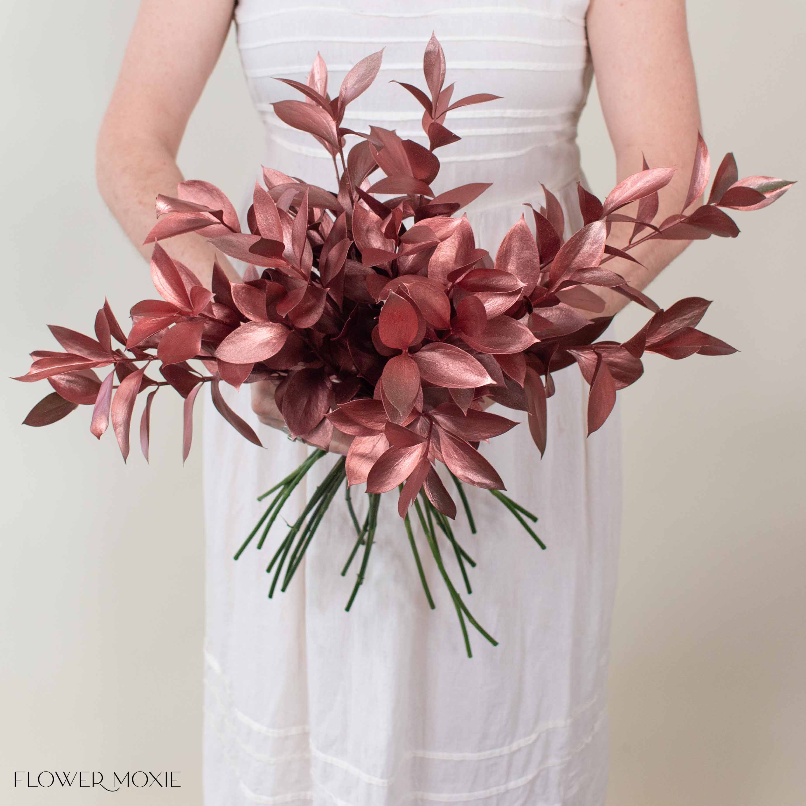 Tinted Bronze Israeli Ruscus