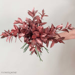 Tinted Bronze Israeli Ruscus