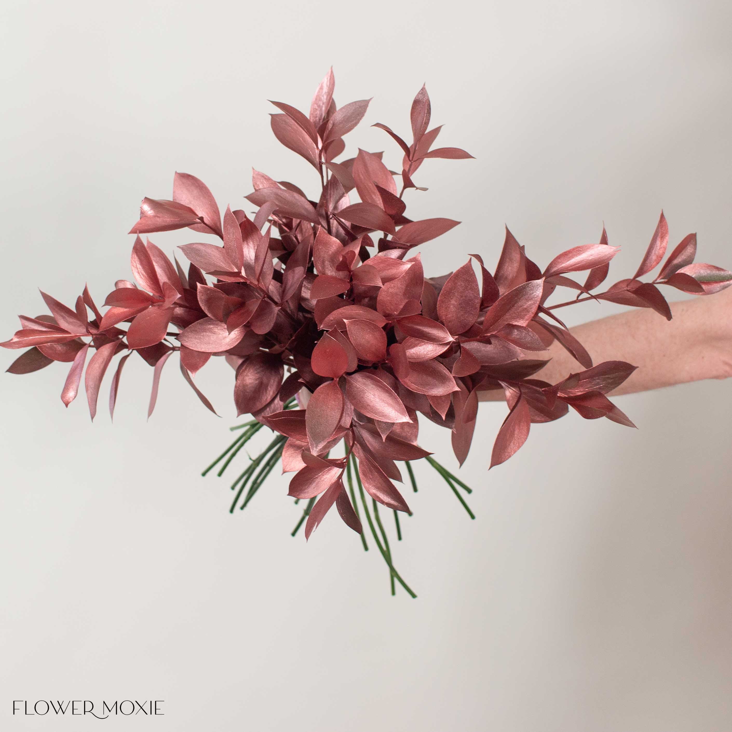 Tinted Bronze Israeli Ruscus