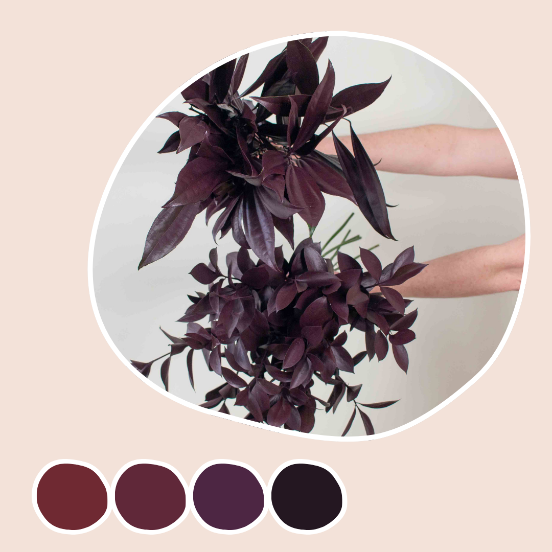 Tinted Burgundy Greenery Mixed Box