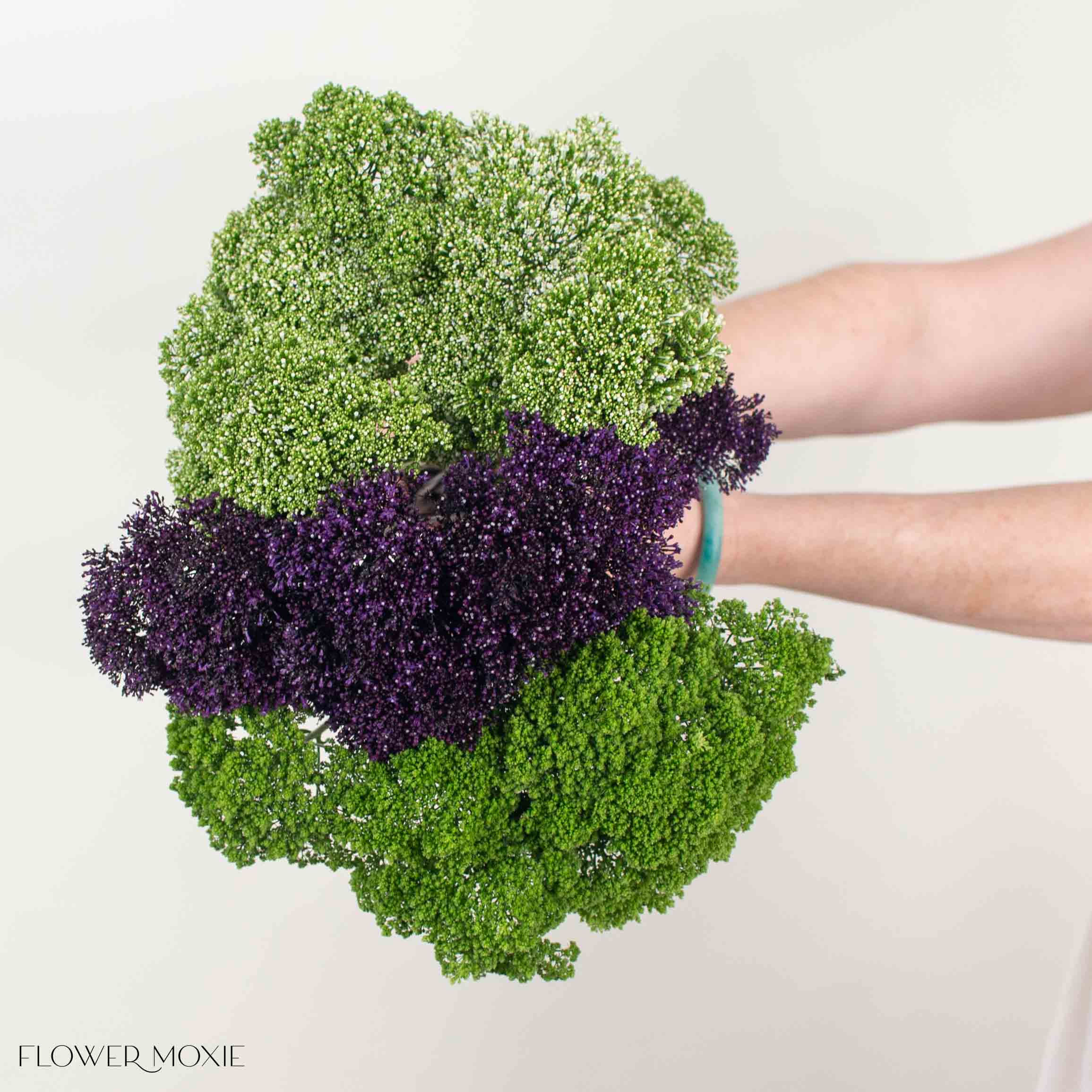 White, Green, and Purple Trachelium Mixed Box | Fresh DIY Wedding
