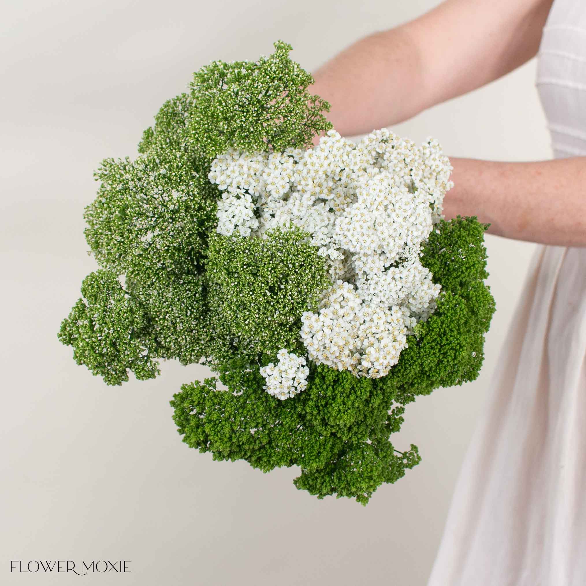 Filler Mixed Box – Fresh Garden