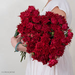 TreasureRedSprayRose 3